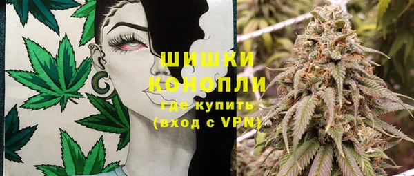 прущие грибы Приозерск